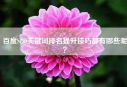 百度SEO关键词排名提升技巧都有哪些呢？
