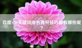 百度SEO关键词排名提升技巧都有哪些呢？