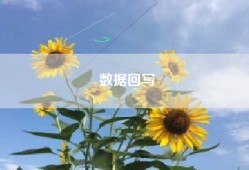 数据回写