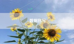数据回写