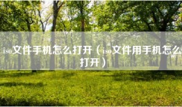 iso文件手机怎么打开（iso文件用手机怎么打开）