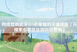 网络营销资深SEO必掌握的关键技能（从搜索引擎优化到内容营销）