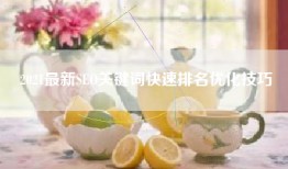 2021最新SEO关键词快速排名优化技巧