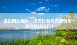 通过网站优化，提高排名与流量转化（掌握优化技巧）