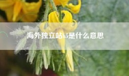 海外独立站h5是什么意思