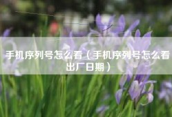 手机序列号怎么看（手机序列号怎么看出厂日期）
