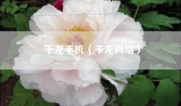 千龙手机（千龙网络）