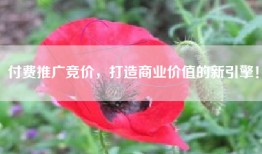 付费推广竞价，打造商业价值的新引擎！