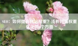 SEO：如何提高网站权重？浅析网站权重优化的6个方面