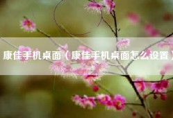 康佳手机桌面（康佳手机桌面怎么设置）