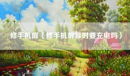 修手机屏（修手机屏幕时要充电吗）