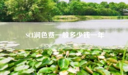 SCI润色费一般多少钱一年