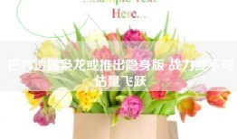 巴方透露枭龙或推出隐身版 战力或不可估量飞跃