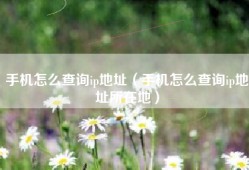 手机怎么查询ip地址（手机怎么查询ip地址所在地）