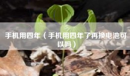 手机用四年（手机用四年了再换电池可以吗）