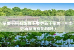 苹果手机系统要不要更新（苹果手机能更新系统有影响吗）