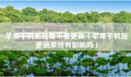 苹果手机系统要不要更新（苹果手机能更新系统有影响吗）