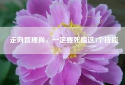 走向管理岗，一定要死磕这3个技能