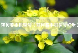 如何看手机型号（如何看手机型号红米）