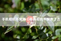 手机相机不聚焦（手机相机不聚焦了怎么办）