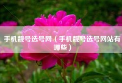 手机靓号选号网（手机靓号选号网站有哪些）