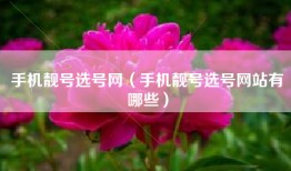 手机靓号选号网（手机靓号选号网站有哪些）
