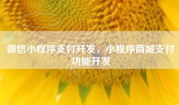 微信小程序支付开发，小程序商城支付功能开发