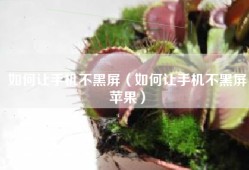 如何让手机不黑屏（如何让手机不黑屏苹果）