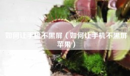 如何让手机不黑屏（如何让手机不黑屏苹果）