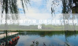 店铺引流推广方案_店铺引流推广方案模板
