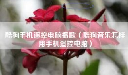 酷狗手机遥控电脑播歌（酷狗音乐怎样用手机遥控电脑）