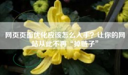 网页页面优化应该怎么入手？让你的网站从此不再“掉链子”