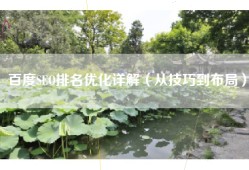 百度SEO排名优化详解（从技巧到布局）