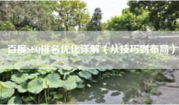 百度SEO排名优化详解（从技巧到布局）