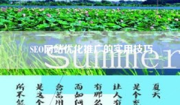 SEO网站优化推广的实用技巧