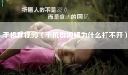 手机群视频（手机群视频为什么打不开）