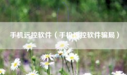 手机远控软件（手机远控软件骗局）