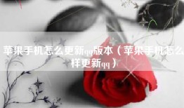 苹果手机怎么更新qq版本（苹果手机怎么样更新qq）
