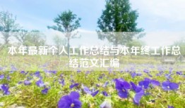 本年最新个人工作总结与本年终工作总结范文汇编