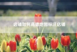 店铺如何高德地图标注店铺