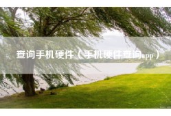 查询手机硬件（手机硬件查询app）