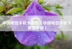 中国电信手机卡激活（中国电信手机卡激活步骤）