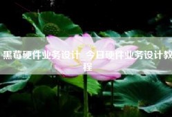 黑莓硬件业务设计_今日硬件业务设计教程