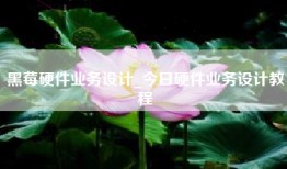 黑莓硬件业务设计_今日硬件业务设计教程