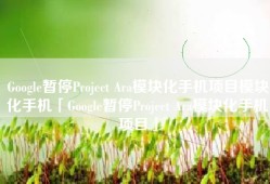 Google暂停Project Ara模块化手机项目模块化手机「Google暂停Project Ara模块化手机项目」