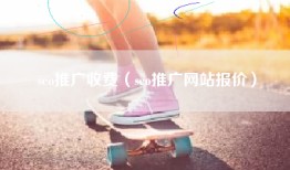 seo推广收费（seo推广网站报价）