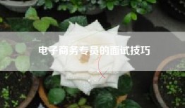 电子商务专员的面试技巧
