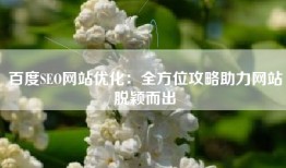 百度SEO网站优化：全方位攻略助力网站脱颖而出