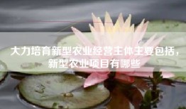 大力培育新型农业经营主体主要包括，新型农业项目有哪些