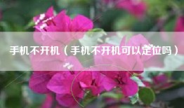 手机不开机（手机不开机可以定位吗）